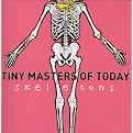 Skeletons (Lyrics included with album)