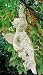 Dover White Fairy On Vine With Hanger Statue