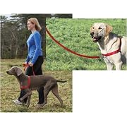 Premier Gentle Leader Easy Walk Black Harness for Dogs, Large