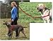 Premier Gentle Leader Easy Walk Black Harness for Dogs, Large