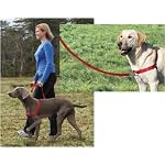 Premier Gentle Leader Easy Walk Black Harness for Dogs, Large