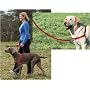 Gentle Leader Easy Walk Harness (Medium) Blue