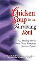Chicken Soup for the Cancer Survivor's Soul: 101 Healing Stories of Courage and Inspiration