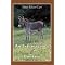 Wonderful books about Donkeys