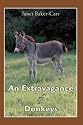 An Extravagance of Donkeys