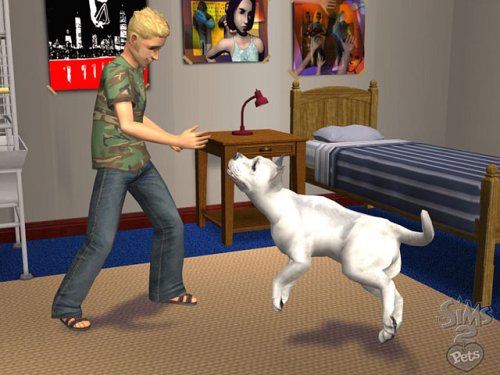 The Sims 2: Pets Expansion Pack (PC DVD)