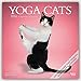 Yoga Cats 2016 Calendar
