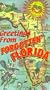 Greetings From Forgotten Florida [VHS]