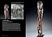 Between the Known and the Unknown: New Guinea Art From Astrolabe Bay to Morobe