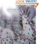 Cactus & Succulents (A Care Manual)