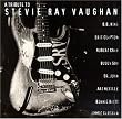 Tribute to Stevie Ray Vaughn