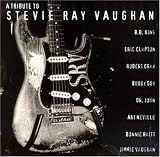 A Tribute to Stevie Ray Vaughan