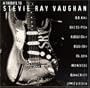 Tribute to Stevie Ray Vaughan