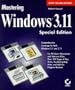 Mastering Windows 3.1
