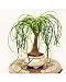 Air Palm
5159JoVWD8L. SL75 Air Palm