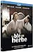 Le bl� en herbe [Blu-ray] [FR Import]