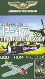 Review Delta Visual Entertainment  / American War Eagles - The Republic P-47 Thunderbolt - Bolt From The Blue