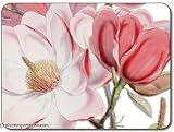 Jason Campbell's Magnolia Placemats - Set of 4 (Large)