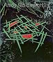 Andy Goldsworthy