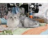 Photographic Print of CAT. Tiffanie with sewing machine from Ardea