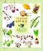 Books : The Painted Garden: A Year in Words and Watercolours