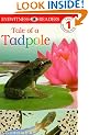 Tale Of A Tadpole (DK Readers Level 1)