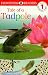 Tale of a Tadpole (DK Readers Level 1)
