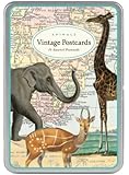 Cavallini Animals Carte Postale, 18 Postcards per Tin
