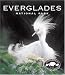 Everglades National Park (Tiny Folio)