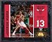 Joakim Noah Chicago Bulls 8x10 Color Plaque