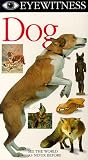 Eyewitness DOG