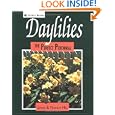 Daylilies: The Perfect Perennial