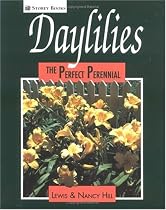 Daylilies: The Perfect Perennial