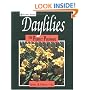 Daylilies: The Perfect Perennial