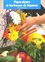 Pique-niques et barbecues de l�gumes