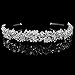 Polytree Women's Fashion Crystal Rhinestone Flower Leaf Tiara Hair Band Headband