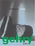 Gehry Talks: Architecture + Process (Universe Architecture Series)