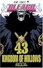 BLEACH 43 (ジャンプコミックス)
