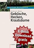 Gebusche, Hecken, Krautsaume