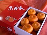 ノーワックスみかん赤秀品！徳島産「ハウスみかん」化粧箱１２玉入 ワックス