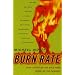 Burn Rate: How I Survived the Gold Rush Years on the Internet
