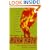 Burn Rate: How I Survived the Gold Rush Years on the Internet