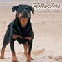 Rottweilers 2010 Wall Calendar