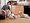 Black & Decker CHV1500 15.6-Volt HEPA Cyclonic DustBuster
