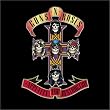 Appetite for Destruction