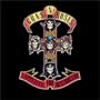 Appetite for Destruction