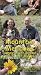 Mountain Meadows [VHS]