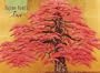 Hajime Namiki Trees Blank Notecards, 20 Blank Greeting Cards with 4 Different Styles