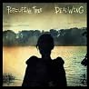 Image of album by Porcupine Tree
