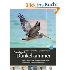 Die digitale Dunkelkammer: Vom Kamera-File zum perfekten Print: Arbeitsschritte, Techniken, Werkzeuge